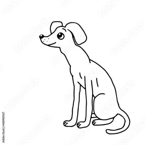 Hand drawn vector illustration a beautiful happy young white dog is sitting on a white background