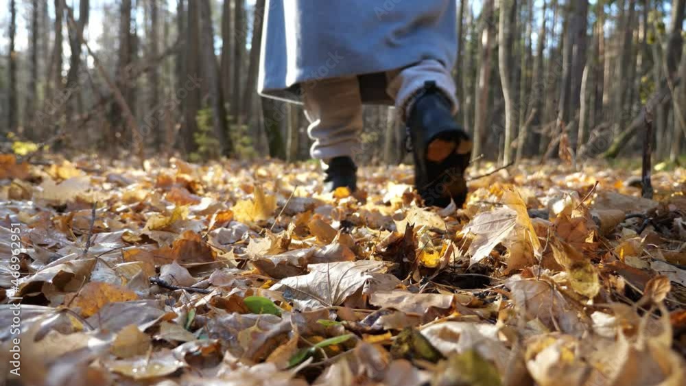 Woman in warm coat and leather boots strolls slowly around forest stepping on dry yellow fallen leaves among bare trees in autumn, close low angle shot