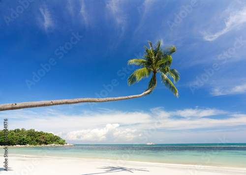 beach with coconut trees © heru