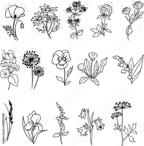 set of black and white flowers