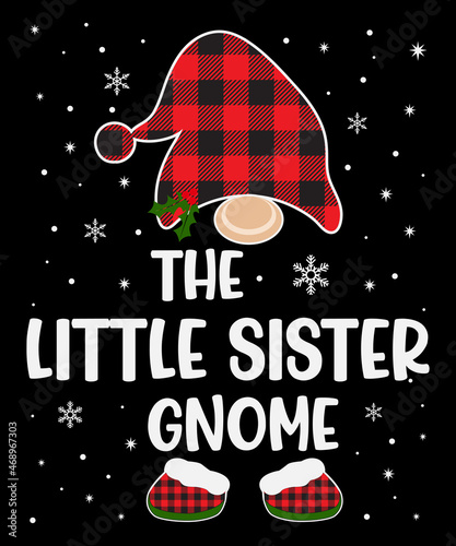 The Little Sister Gnome