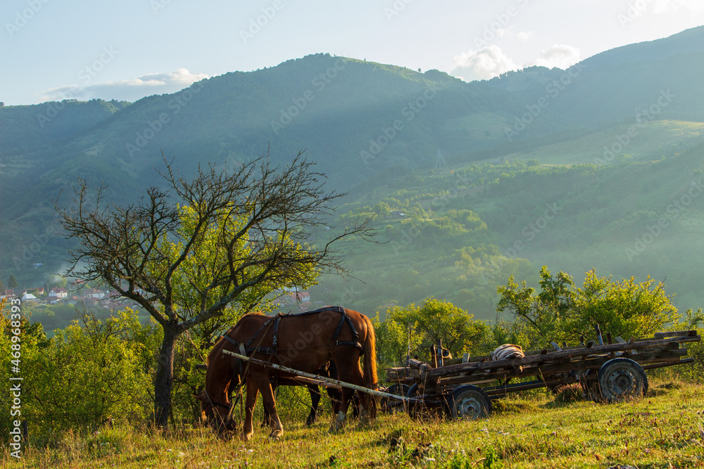 Obraz premium Rural idyll in Romania