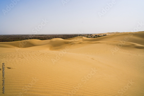 Desert oasis  dune grove center lake