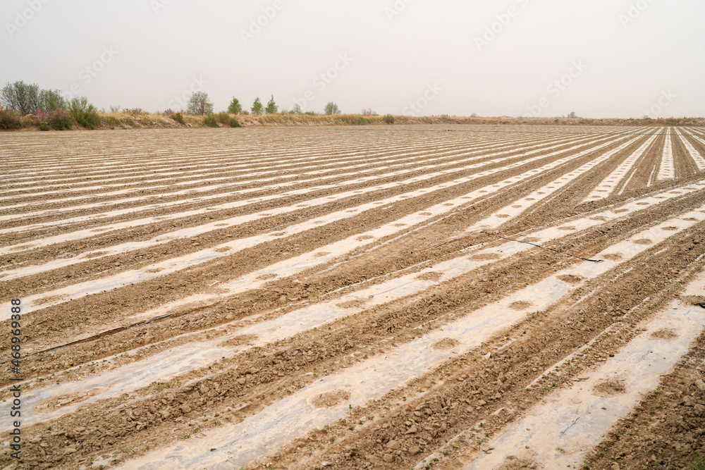 Line arrangement of ecological agricultural film Line arrangement of ecological agricultural film