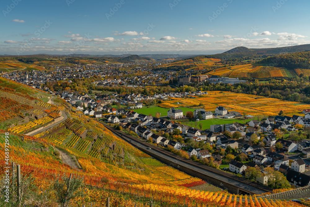 Ahrtal, Weinberge am Rotweinwanderweg mit Blick auf Bad Neuenahr-Ahrweiler im Herbst
