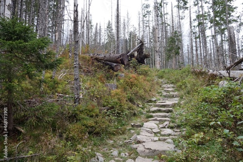 Zakopane, dolina Iwaniacka.