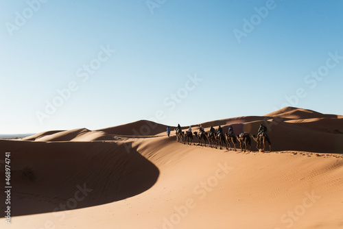 merzouga desert dunes camels