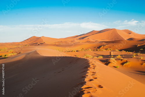 merzouga desert dunes