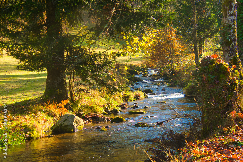Hilzinger Mühle im Glottertal im Schwarzwald Hilzinger Mühle im Glottertal im Schwarzwald