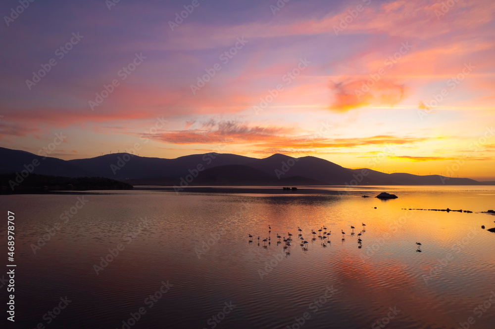 Flock of flamingo birds at sunset in Bafa lake