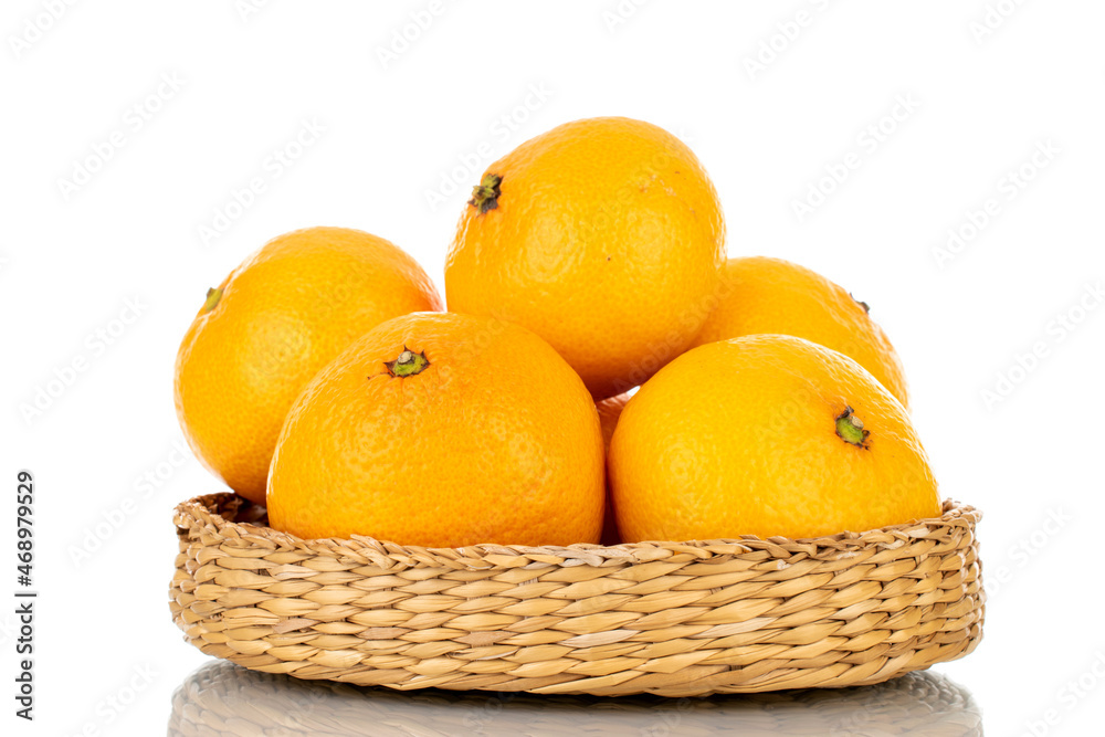 Several ripe organic tangerines in a plate of straw, close-up, isolated on white. Several ripe organic tangerines in a plate of straw, close-up, isolated on white.