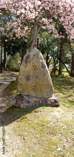 Nara park stone