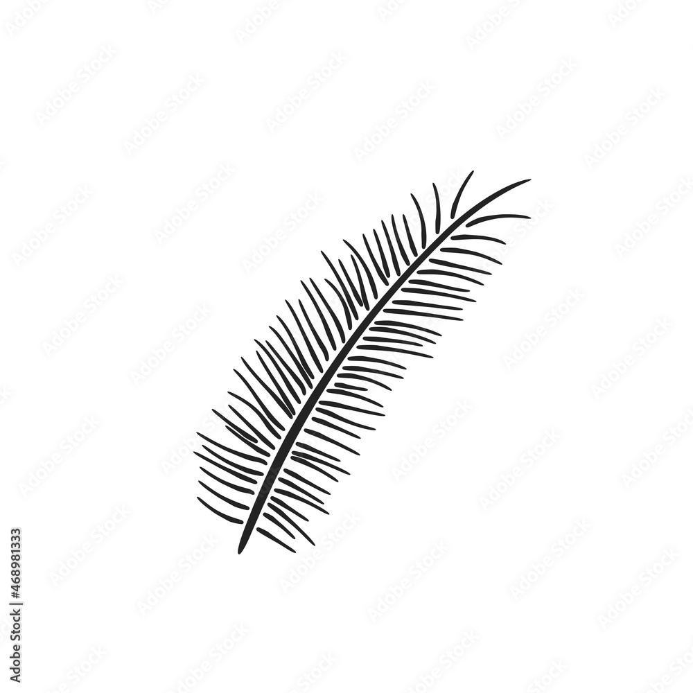 short pine branch. hand drawn floral illustration. vector element for winter greeting and invitation design short pine branch. hand drawn floral illustration. vector element for winter greeting and invitation design