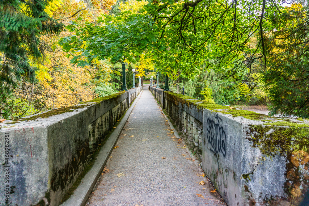 Washington Park Arboretum Autumn Bridge 2