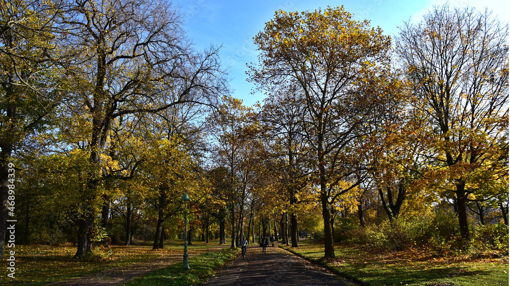 Colourful Autumn trees in the city park