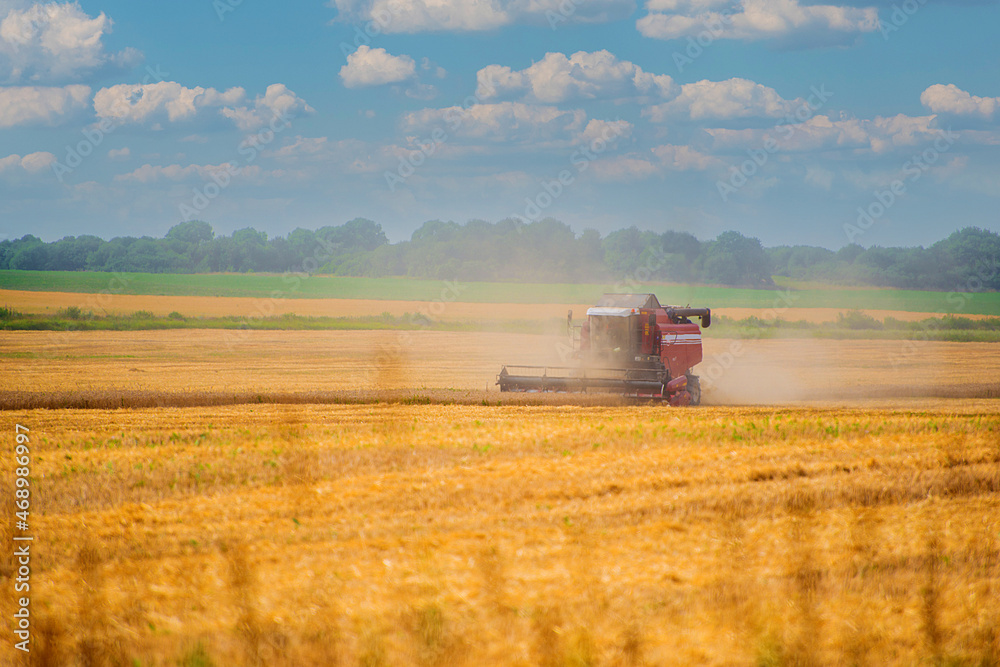 Fototapeta premium heavy agricultural machinery for harvesting