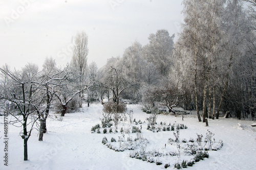 oszroniony biły ogród piękny magiczny widok