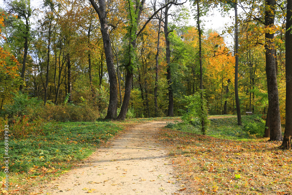 Fototapeta premium Autumn day in park