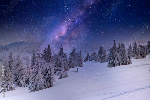 amazing winter landscape with snowy fir trees © Melinda Nagy