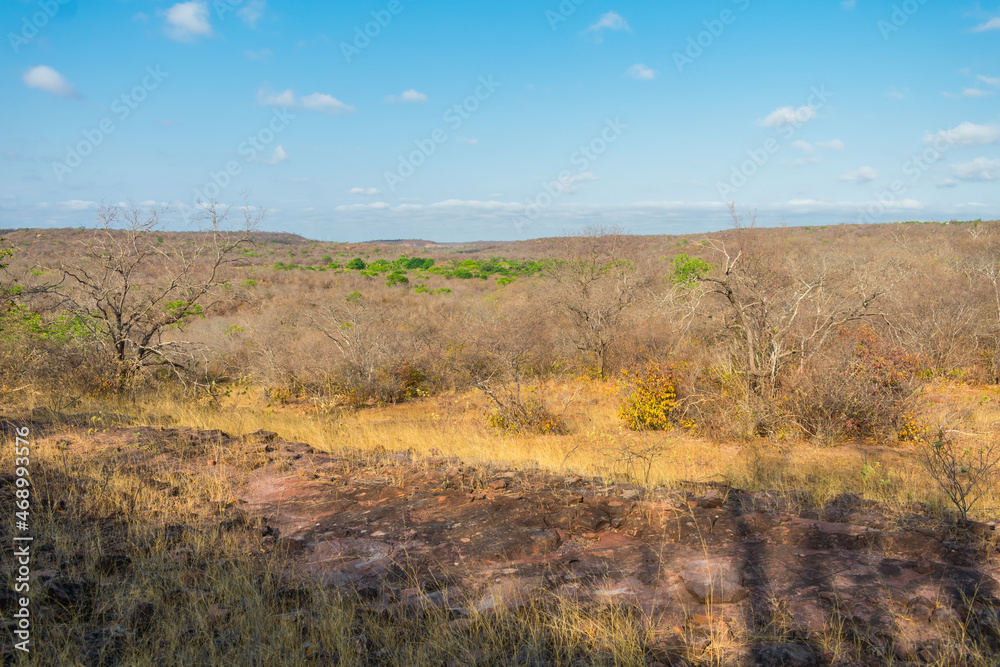 A view of the caatinga landscape in the peak of the dry season - Oeiras, Piaui state, Brazil A view of the caatinga landscape in the peak of the dry season - Oeiras, Piaui state, Brazil