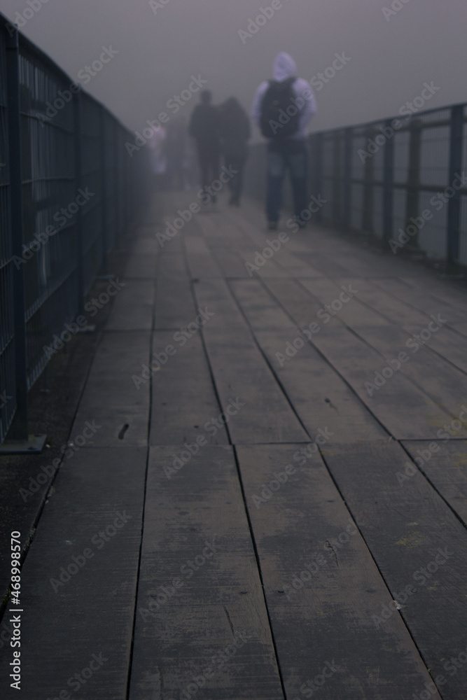 Ponte da neblina 