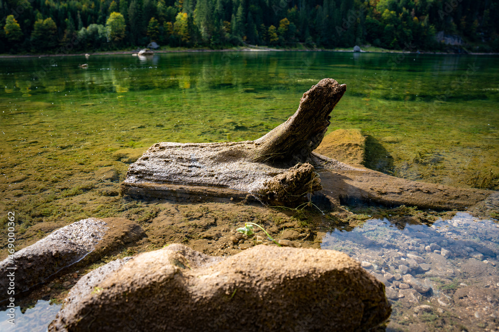 See, Gosausee, Gosauseen, Wurzel, Baumwurzel, Wasser, See, Gosausee, Gosauseen, Wurzel, Baumwurzel, Wasser,