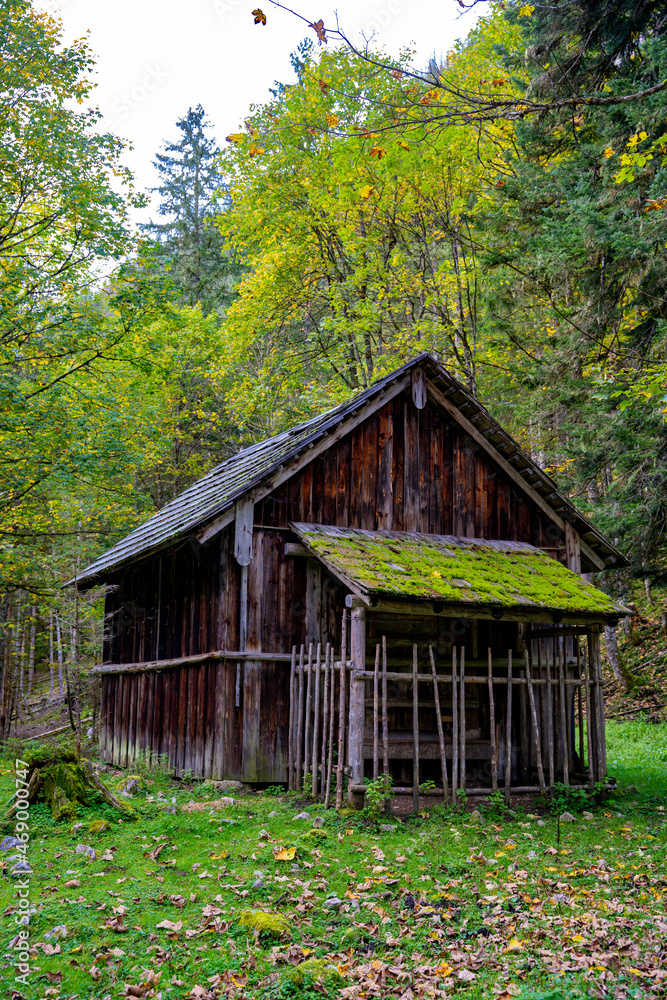 Waldhaus, Alm, Dachstein, Wald, Haus, Jagdhütte, Jagdhaus, Österreich Waldhaus, Alm, Dachstein, Wald, Haus, Jagdhütte, Jagdhaus, Österreich