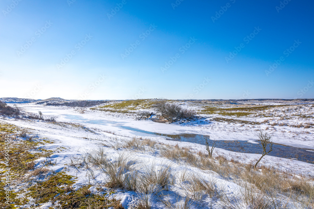 Snowy and ice winter landscape at the Amsterdamse Waterleidingduinen Snowy and ice winter landscape at the Amsterdamse Waterleidingduinen