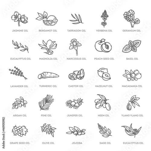 Vector set of natural ingredients and oils for cosmetics in linear style. Essential oil and cosmetics oils, butters