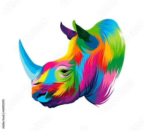 Rhino head portrait, rhinoceros, color drawing, realistic. Vector illustration of paints