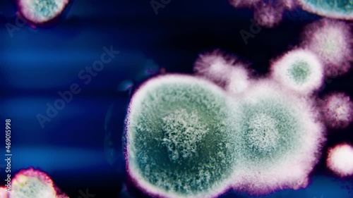 Fungal spores in the liquid. Viral bacterium in the blood.Fungal infection. Distribution and multiplication of fungi and bacteria. Virus attack.
