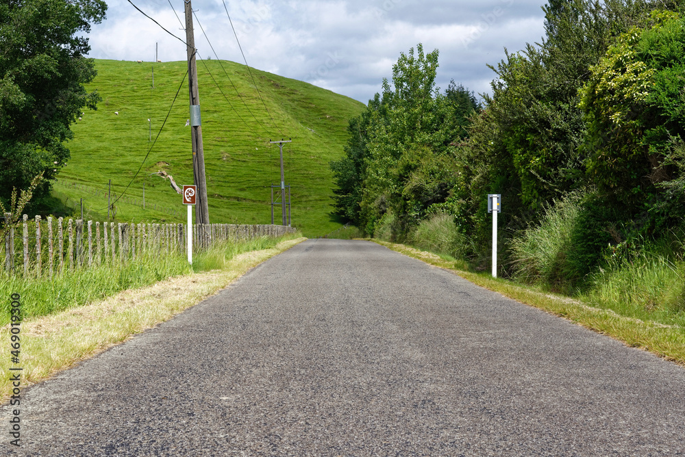 Deserted rural road through farmland in the Manawatu region of New Zealand