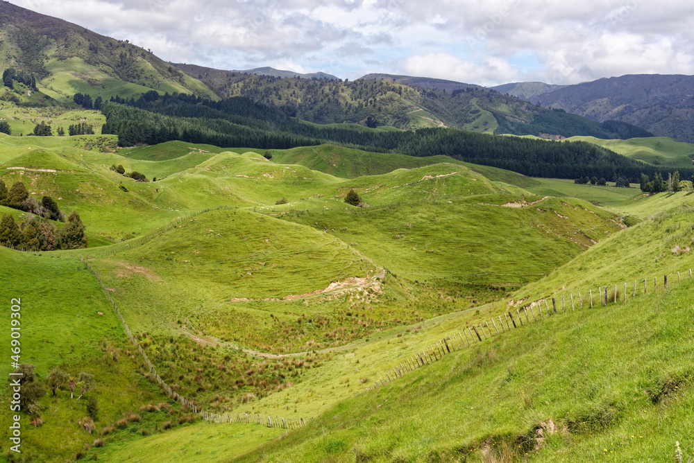 Farmland in the North Island of New Zealand