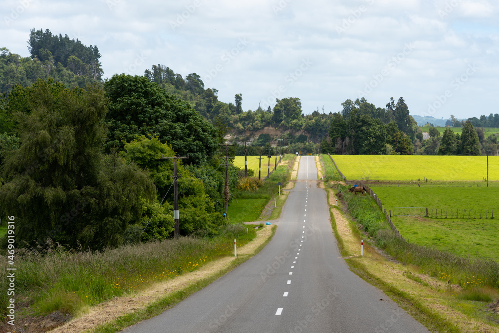 Rural scenery along the Manawatu Scenic Route in New Zealand