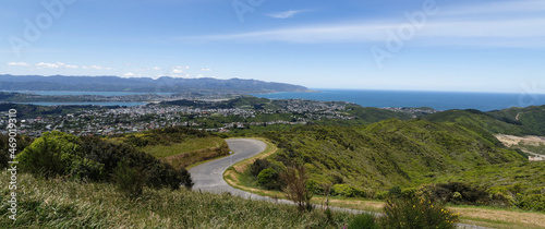 Panoramic view of Wellington  New Zealand on a sunny day