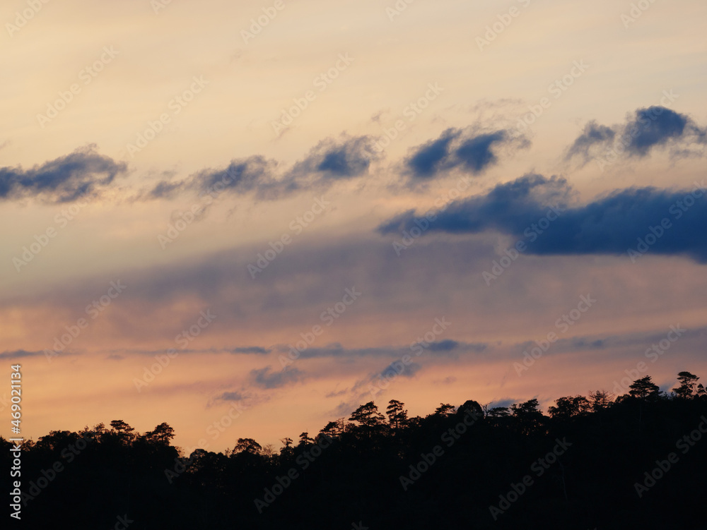 三重県熊野市【夕陽の丘公園】から見える夕焼けと山の木々