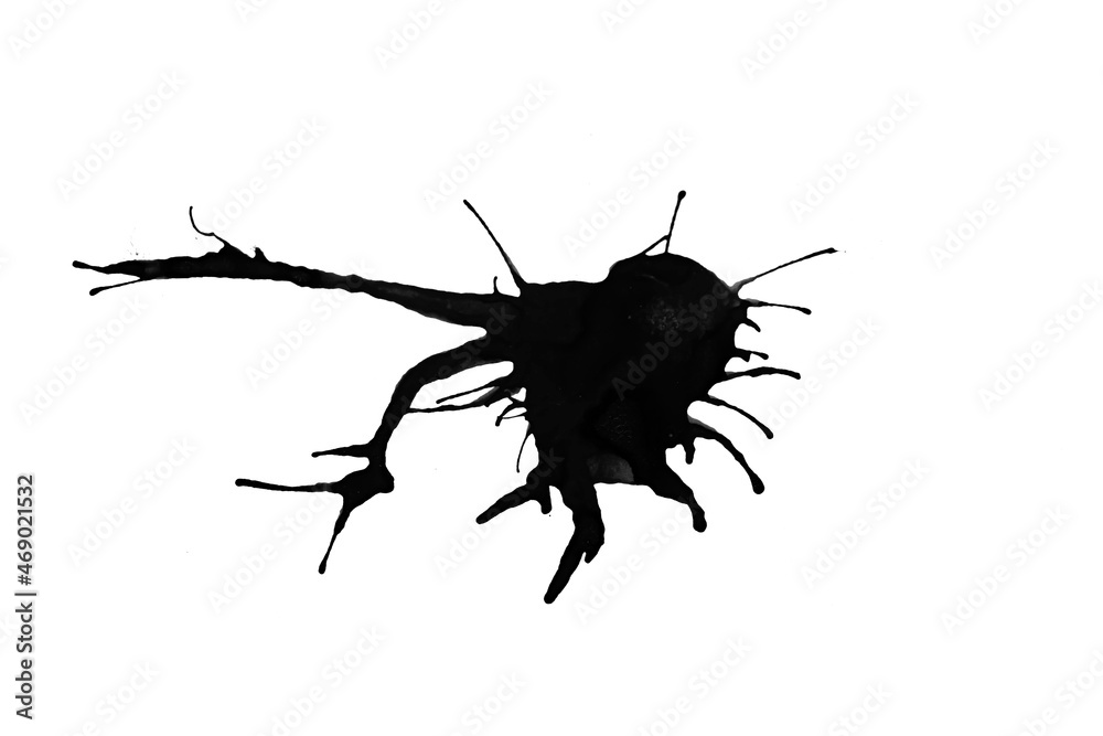 Black ink splash,brush stroke, blot isolated on white background. Black ink splash,brush stroke, blot isolated on white background.
