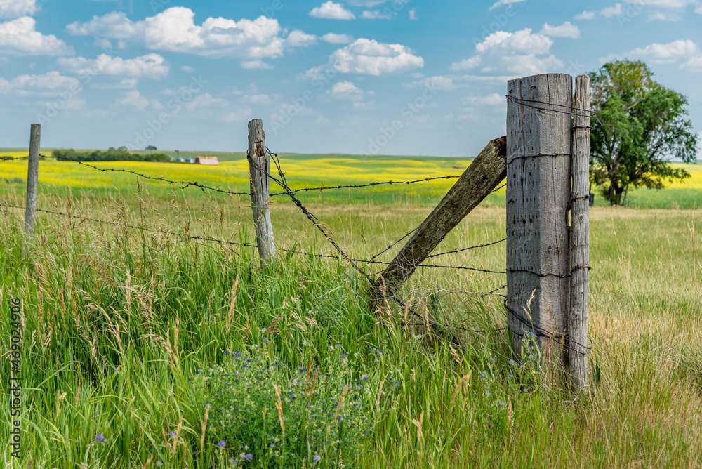 Grass surrounding a fence post and fence with an old abandoned barn in the distance