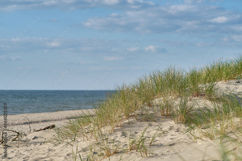 Sand dunes of the russian part Curonian Spit. Kaliningrad region, Russia Sand dunes of the russian part Curonian Spit. Kaliningrad region, Russia