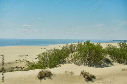 Sand dunes of the russian part Curonian Spit. Kaliningrad region, Russia