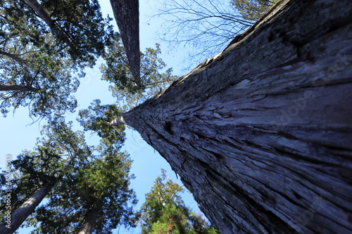 日本・秩父の風景
