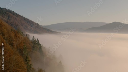 Wallpaper Mural Mountains autumn forest fog dawn drone view Torontodigital.ca