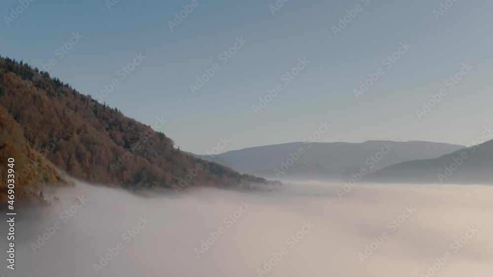 Mountains autumn forest fog dawn drone view