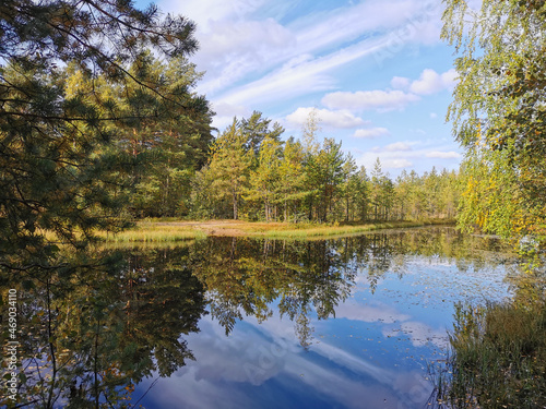 Fototapeta Naklejka Na Ścianę i Meble -  The mirror surface of a forest lake, in which trees and the sky with beautiful clouds are reflected.
