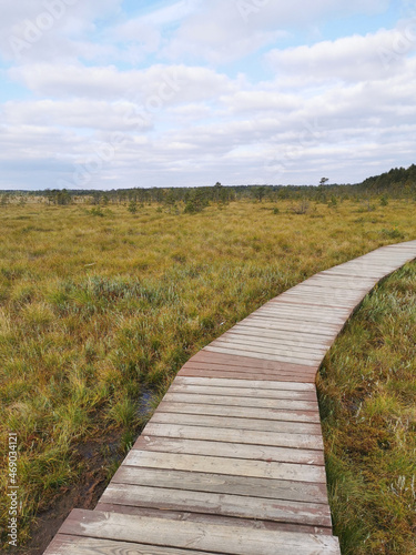 A section of brown plank flooring over a swamp with yellowed grass  against the background of a forest and a sky with clouds.
