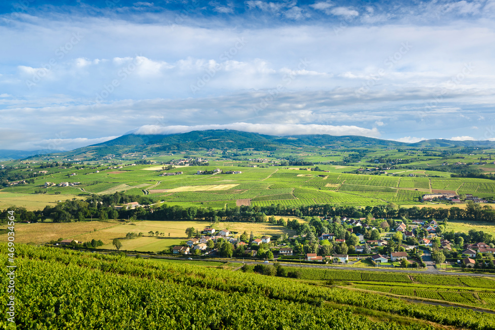 Village de Cercié et les vignes de Morgon, Brouilly et Régnié-Durette, Beaujolais, France