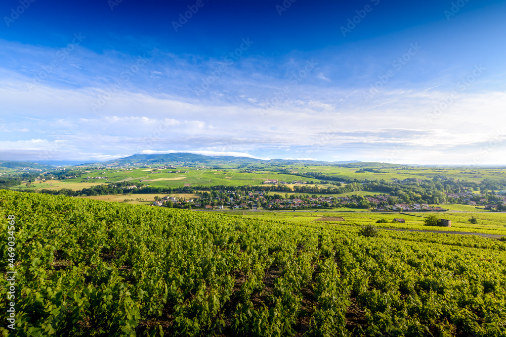 Village de Cercié et les vignes de Morgon et Brouilly, Beaujolais, France