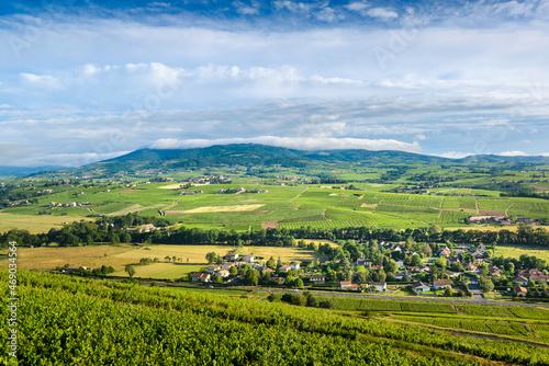 Village de Cercié et les vignes de Morgon, Brouilly et Régnié-Durette, Beaujolais, France