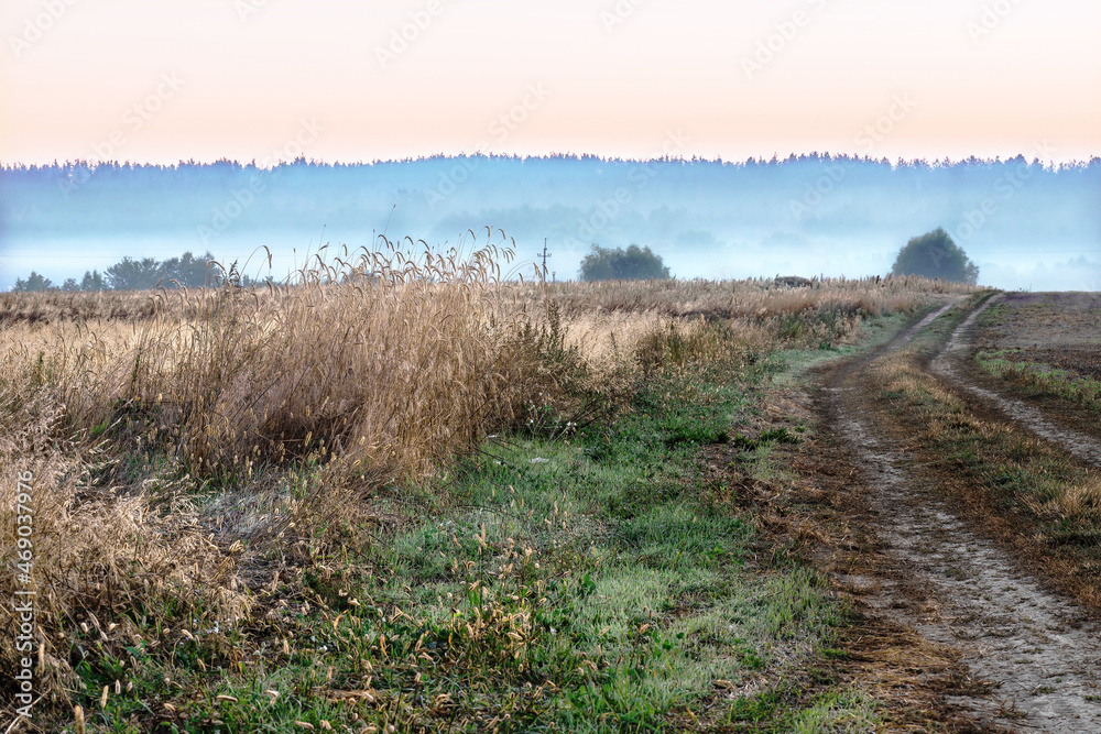 Field after harvesting near Kiev, Ukraine. Early in the morning there is fog over the field. Rural landscape with bright colors at sunrise.