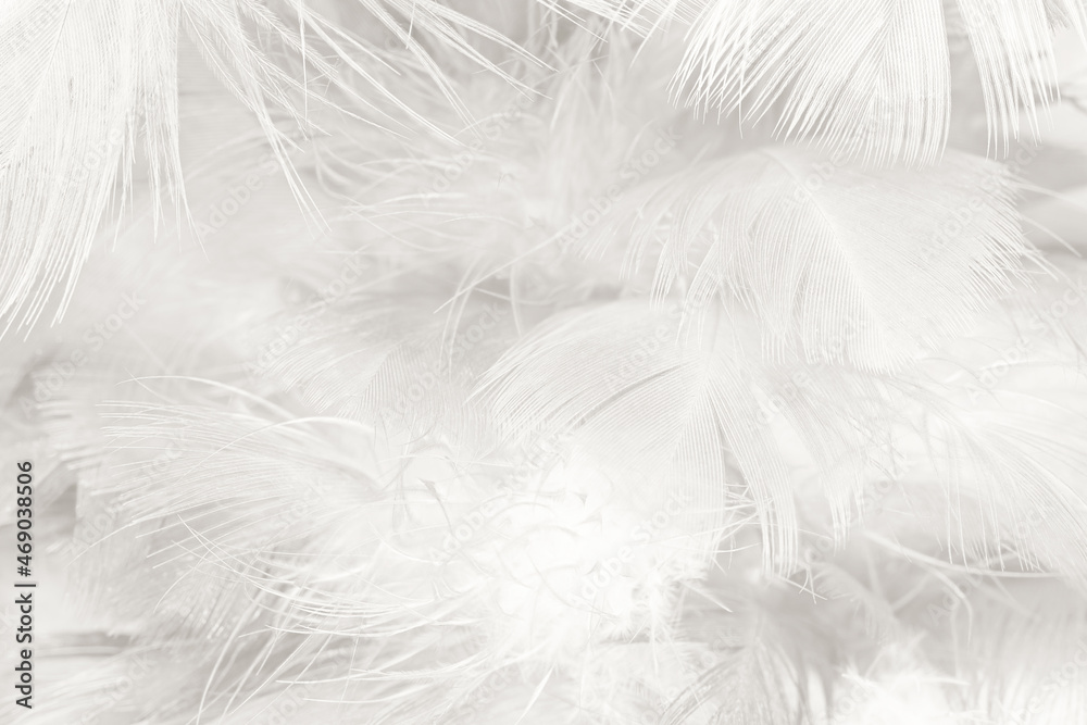 white feather wooly pattern texture background